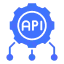 API integration support