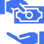 Digital wallet payments